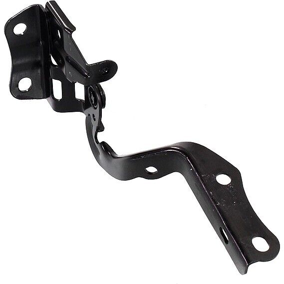 Hood Hinge Passenger Side For Toyota - TO1236175