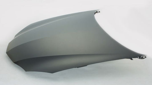 Hood For Pontiac - GM1230296