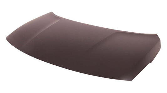 Hood For Nissan - NI1230199
