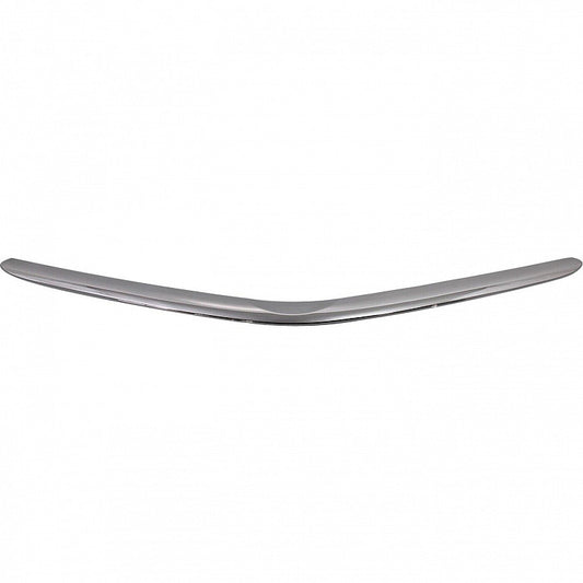 Bumper Moulding Front For Toyota - TO1044107