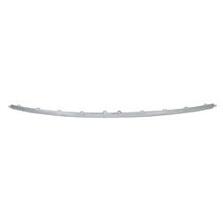 Bumper Moulding Rear Center Chrome For Volkswagen - VW1144109